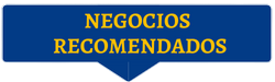 copia-de-oportunidades-para-generar-ingresos-negocios-recomendados-photoroom.png-photoroom.png